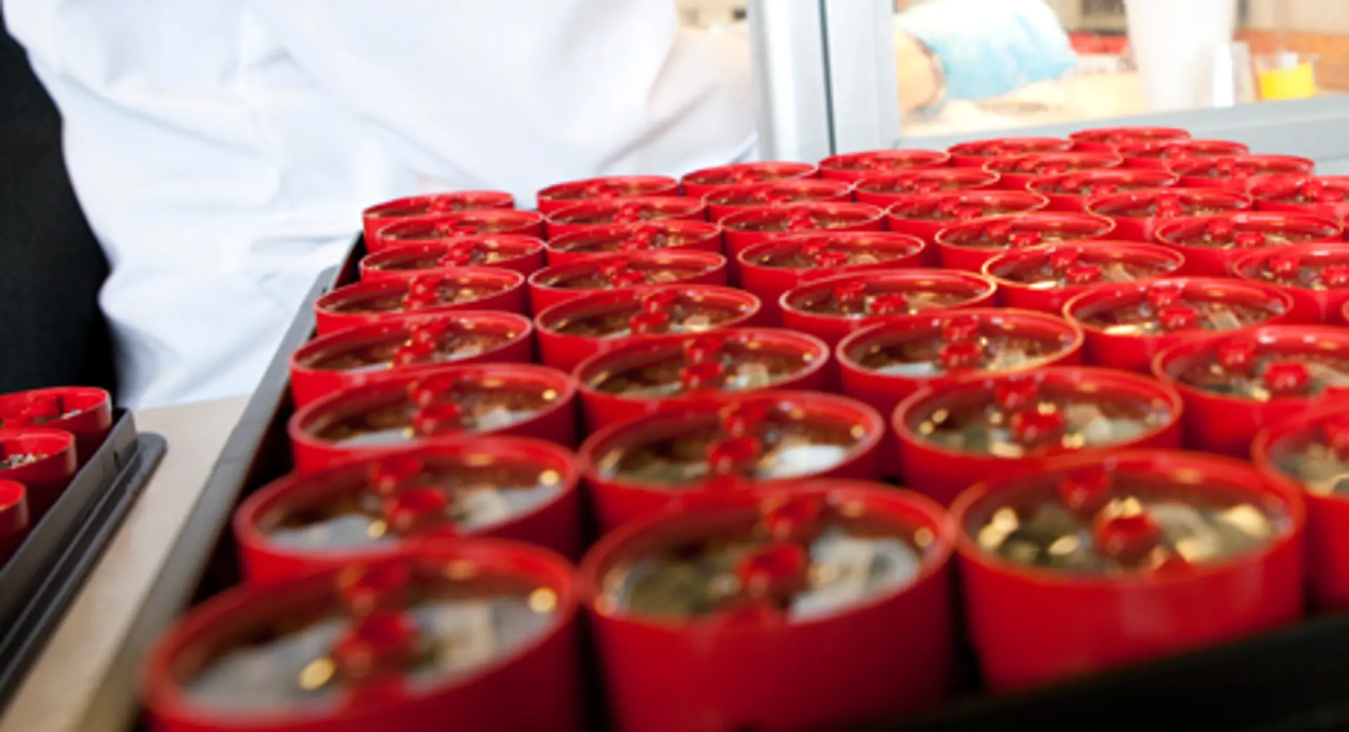 Temperature Transmitters 460X250