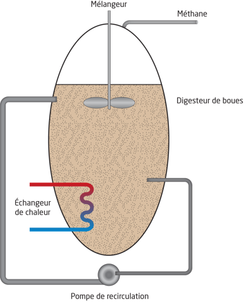 digesteur variables digestore scurit processo mesure variabili modles toute